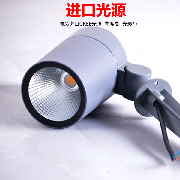插泥照樹燈